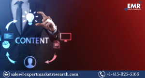 Content Moderation Solutions Market Report