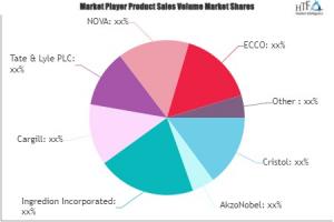 Modified Starch Size Market