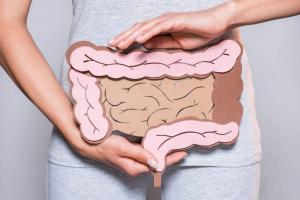 An image showcasing the significance of gut health. The caption highlights the gut-brain connection and the importance of nourishing the gut for overall well-being.