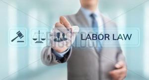 The U.S. Department of Labor is mandated by law to enforce the labor laws of the United States. It is a huge job, covering multiple laws, each of which cover a wide segment of the workforce in the country.