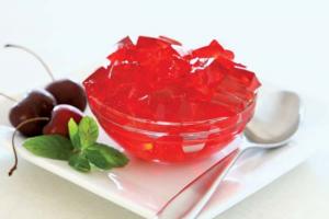 Gelatin Industry