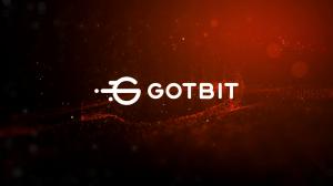 Gotbit's proficiency as a market maker will play a pivotal role in expanding the token's reach, thereby strengthening its position in the market.