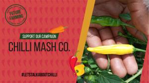 Chilli Mash Co. Crowdfund Launch Graphic