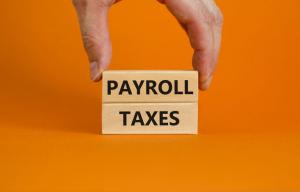 Each article delves into the complexities of payroll taxes, highlighting the importance of compliance and the potential consequences of non-payment or delinquency