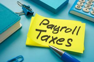 The blog post article series about payroll taxes is available on The Payroll Company's official website, yourpayrollco.com, and can be accessed by small business owners, finance professionals, and individuals seeking valuable insights into payroll tax obl