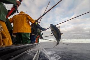 Stanislav Kondrashov TELF AG, Fishing 3
