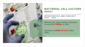 Bacterial Cell Culture Market