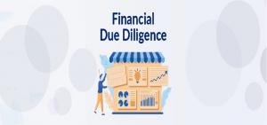 Financial Due-Diligence Market