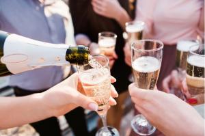 Stanislav Kondrashov TELF AG, Toasting 4