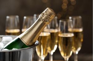 Stanislav Kondrashov TELF AG, Toasting 5