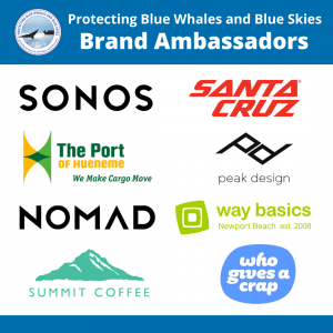 Logos of companies in the Brand Ambassador Initiative