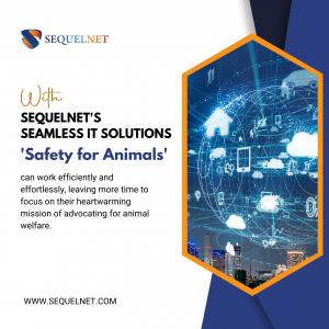 Safety for Animals