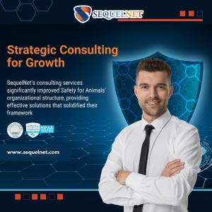Strategic Consulting for Growth