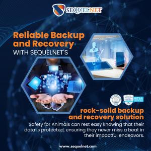 Reliable Backup and Recovery