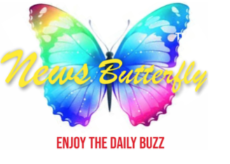 News Butterfly   To Launch  a Multi language News App