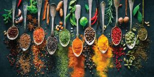 Food Ingredients