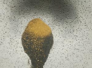 Panning gold