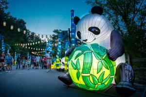 Tianyu Lantern Festival (2)