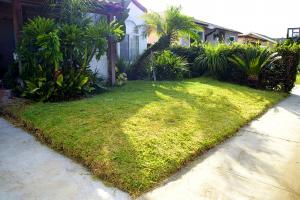 The finished lawn was a gift from the volunteers to an elderly resident who was unable to care for it on her own.