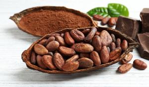 Cocoa Market Latest Trends, Industry Size and Future Prospects 2027