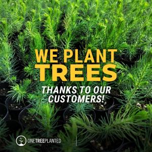 Vibe Adventures and OneTreePlanted