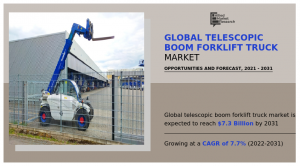 Telescopic Boom Forklift Truck 2031