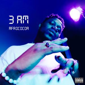 Afrococoa Amapiano Album 3AM