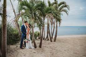 Xmas Palms Rented For Wedding In NY
