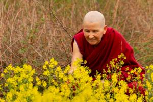 Tsunma Tenzin Dasel has a quiet moment among the flowers of Maine
