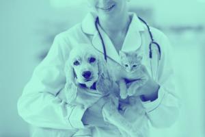 Veterinary Healthcare Market