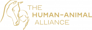 The Human-Animal Alliance Empowers Animal Therapy Program for Young Women in Need
