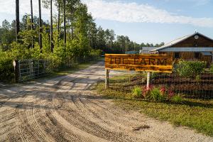 A dirt path bends around a wood-burned sign emblazoned with the words The Farm at Okefenokee greeting visitors as they arrive at The Farm.