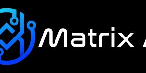 Matrix Artificial Intelligence Consultancy