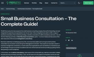 Small Business Consultancy
