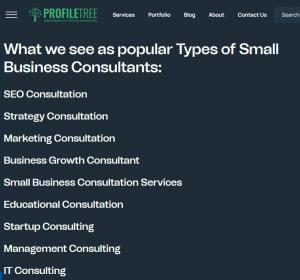 Types of Small Business Consultancy