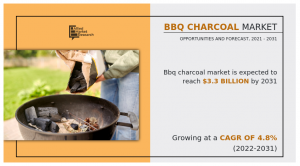 BBQ Charcoal Market 2031