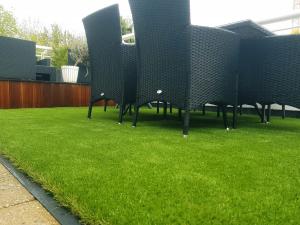 Artificial Grass