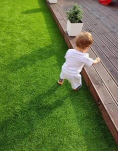 Artificial Grass