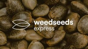 WeedSeedsExpress Launch Competition to Hire Cannabis Growers