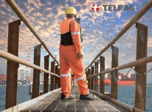 TELF AG, Stanislav Kondrashov, Door to Foor Logistics
