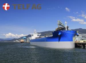 TELF AG, Stanislav Kondrashov, Door to Foor Logistics 3