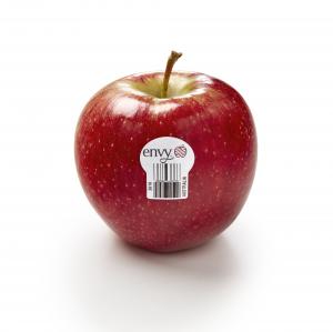 envy™ apple has a refreshing aroma, well-balanced sweetness, firm texture, relatively low acidity