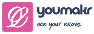YouMakr.ai Logo