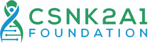 CSNK2A1 Foundation Funds Innovative Research in the Chow Lab to Expedite Potential Treatments for OCNDS