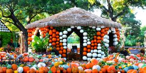 Autumn at the Arboretum features the nationally acclaimed Pumpkin Village.