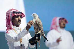 A Saudi Locally-Bred Falcon Fetches the Highest Price in the Middle East, Amounting to 4,000