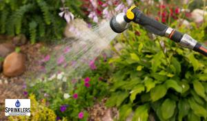 Professionally Designed Sprinkler System