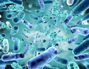 Next Generation Probiotics Market