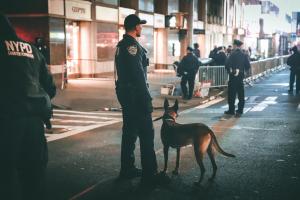 NY Police K9