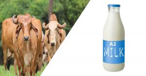 A2 Milk